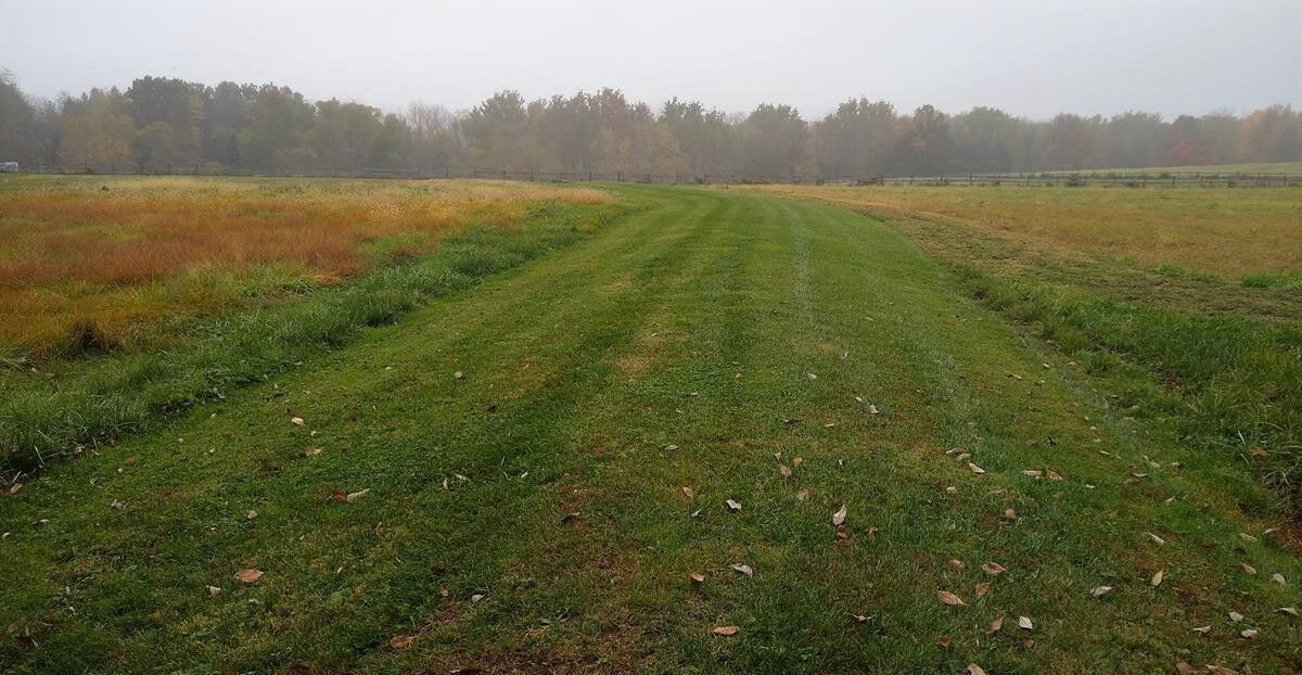 Cifelli Farm Fields D R Greenway image (2)